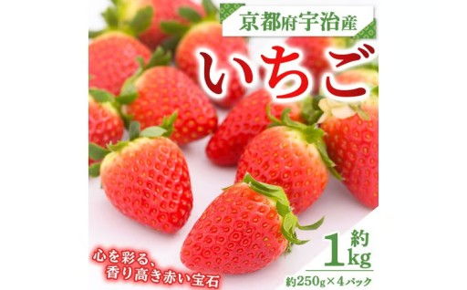 ＜先行予約！2026年12月中旬以降順次発送＞京都府宇治市産いちご(計約1kg・約250g×4パック)
