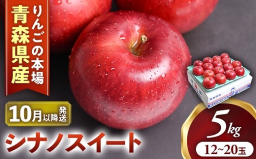 りんご【シナノスイート】約5kg（12～20玉）【2026年産・先行予約】