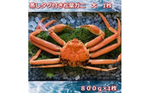 【先行予約 2026年11月中旬以降発送】蒸しタグ付き松葉ガニ　大　１枚　800～940ｇ前後MK6