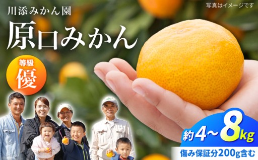 とろける果肉！原口みかんを先行予約