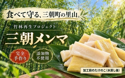 【数量限定 予約10月30日まで】【クール便】｜食べて守る三朝町の里山 手づくり「三朝メンマ」100g×2袋