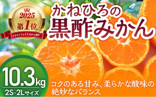 かねひろの黒酢みかん 10.3kg 2S～2L