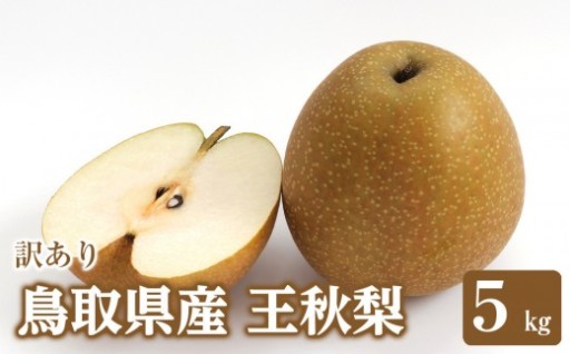 訳あり 鳥取県産 王秋 梨 5kg