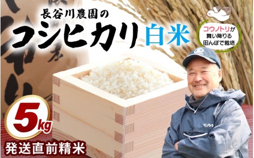 【令和8年産】心も体も満たされる美味しいお米🍚✨