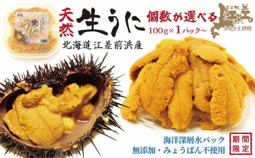 採れたて新鮮 とろける美味さ 江差前浜産生うに