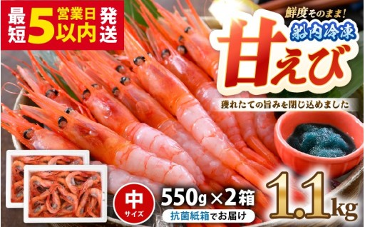 【鮮度抜群の甘えび】船の中で-60℃「瞬間冷凍」🦐✨
