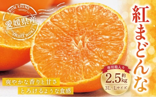 愛媛の旬の柑橘 紅まどんな（専用箱）約2.5kg 3L～Lサイズ 10～15個（青秀以上）
