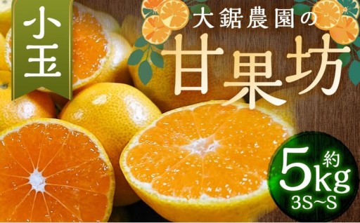 大鋸農園の甘果坊（小玉）5kg