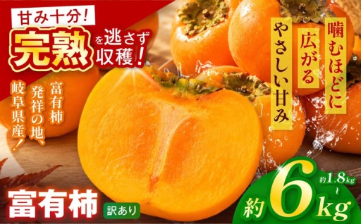【訳あり品】令和8年11月中旬順次発送 富有柿