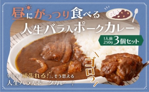 昼にがっつり食べる人生バラ入ポークカレー 250g （ 3個セット ） 計750g