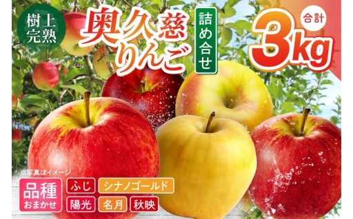 樹上完熟の奥久慈りんご詰め合わせ　園主おまかせ約3kg（6～14玉）