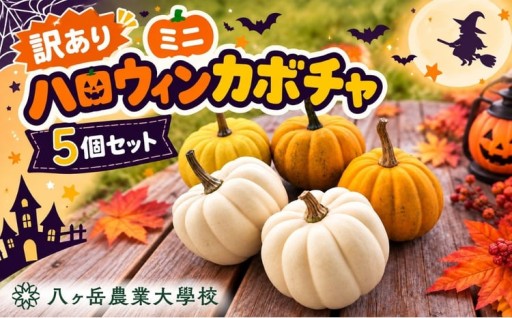 【訳あり】 ハロウィンカボチャ ミニ 5個セット