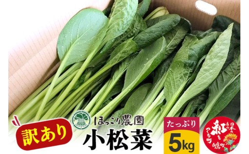 山形県白鷹町産【訳あり】とれたて小松菜（5kg）
