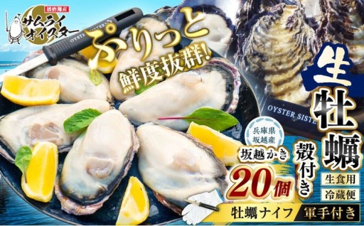 坂越かき 殻付き 20個（牡蠣ナイフ・軍手付き）