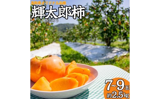 鳥取県を代表する秋の味覚「輝太郎柿」