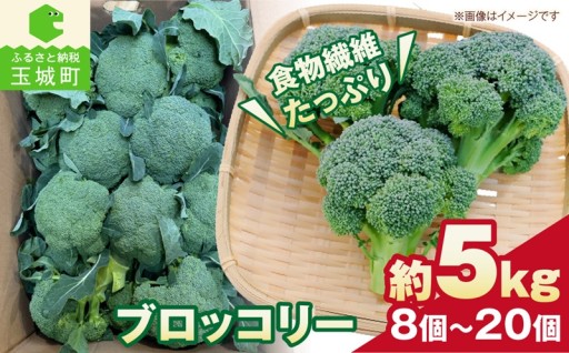ブロッコリー 約5kg 8個～20個