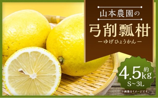 山本農園の珍果 弓削瓢柑 （ゆげひょうかん） 4.5kg