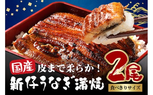 やわらか国内産 うなぎ蒲焼 食べ切りサイズ! 100～120g 2尾 計200g以上