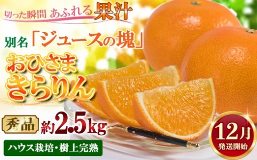 おひさまきらりん (天草) 秀品 約2.5kg