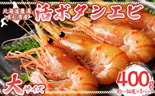 活ボタンエビ 大サイズ 400g（10～14尾）×1パック 