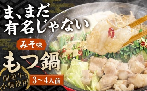 ま、まだ有名じゃない もつ鍋 3 ～ 4人前 （ みそ味 ）