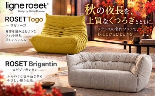 🛋️🍂 秋の夜長に、自分だけの「名作」を。
