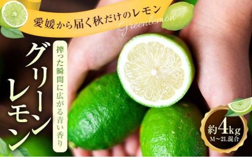 【 搾った瞬間に広がる青い香り 】 グリーンレモン 約4kg 
