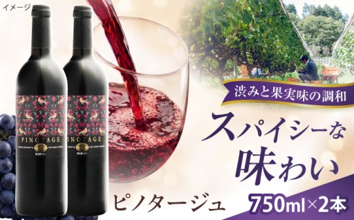 【自社農園100％】奥出雲葡萄園 ピノタージュ 