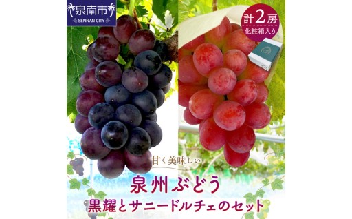 【大阪府泉南市】 「泉州ぶどう」食べ比べ🍇😋