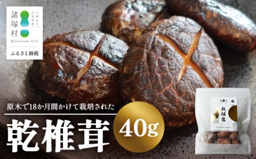 【旨みがちがう！】諸塚村産 原木乾椎茸 1P