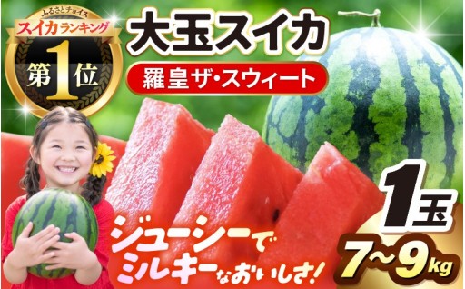 【ランキング1位獲得】大玉スイカ先行予約受付中🍉✨