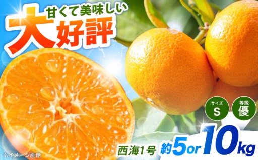 【先行予約】西海1号みかん5kg