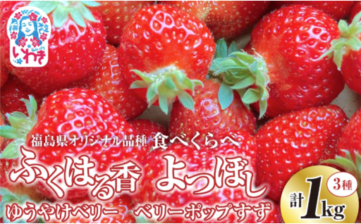 【産地直送】いわき市産いちご食べ比べセット1kg