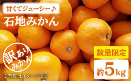 甘さ濃厚！冬に味わう石地みかん