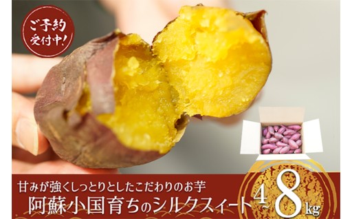 毎年人気の品「小国シルクスィート」先行予約！