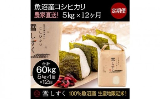 魚沼産コシヒカリ定期便 12ヶ月  5kg 