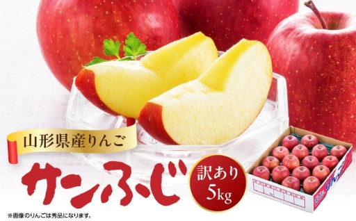 山形県産りんご 訳あり サンふじ 約5kg【2026年11月中旬頃～発送予定】