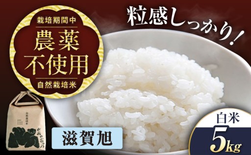 【先行予約】農薬・肥料を使わない自然栽培米「滋賀旭」 