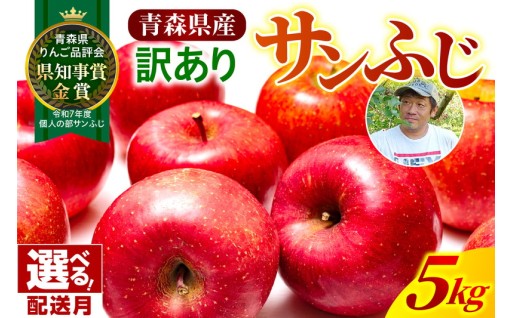 【先行受付】【選べる配送時期】【訳あり】 りんご 約5kg サンふじ 五所川原 金賞受賞歴あり！（りんご品評会）