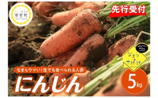 【🥕北海道芽室町🥕】生でもよし！煮てもよし！とっても美味しい人参