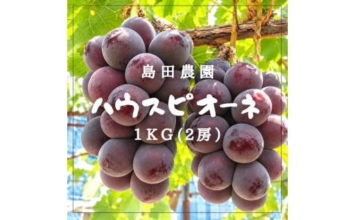 甘くてみずみずしいピオーネ(*´ω｀*)