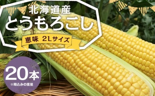 北海道産 とうもろこし 恵味 2Lサイズ 20本 1箱 【2027年8月発送予定】