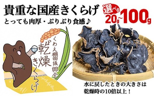 【肉厚な食感♪】国産きくらげ　選べる容量！