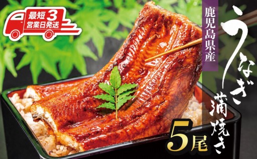 すぐ届く！最短３営業日発送うなぎ長蒲焼き５尾