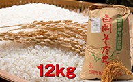 【減農薬・減化学肥料】特別栽培米 白岡そだち 彩のかがやき(12kg、新米)