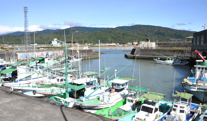 写真