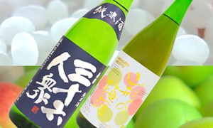10,000円以上の寄附でもらえる