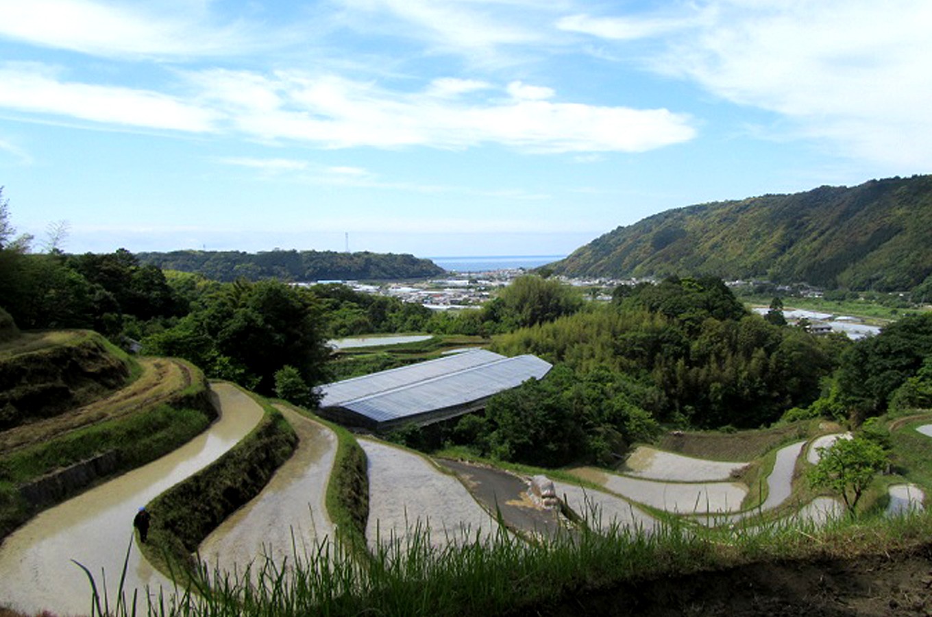 写真