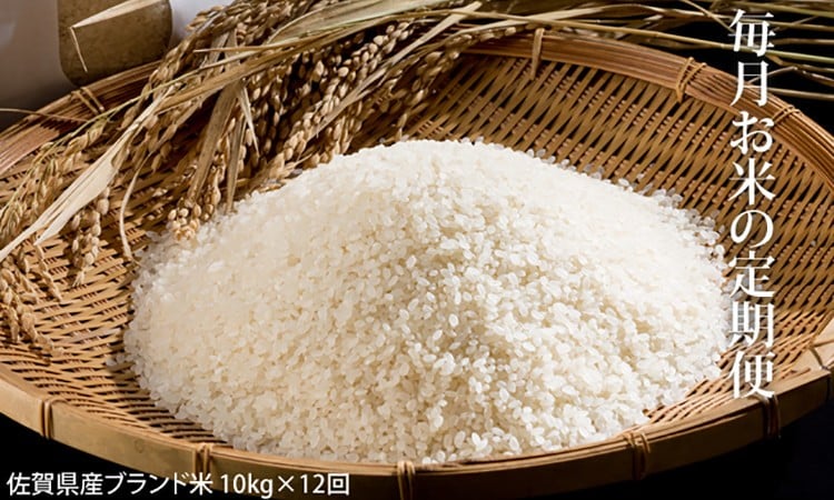 佐賀県小城市返礼品毎月のお米定期便