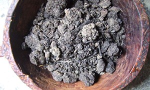 藍染めの染料に使われるのは藍の葉から作られる「すくも」
吉野川が流れ、肥沃な土壌に恵まれた阿波の国(現在の徳島)は、藍の葉の栽培に適していました。
徳島藩の保護奨励により藍づくりは大いに栄え、全国生産率をほぼ独占。その品質も別格とされ、徳島でつくられたすくもは「阿波藍」と呼ばれています。